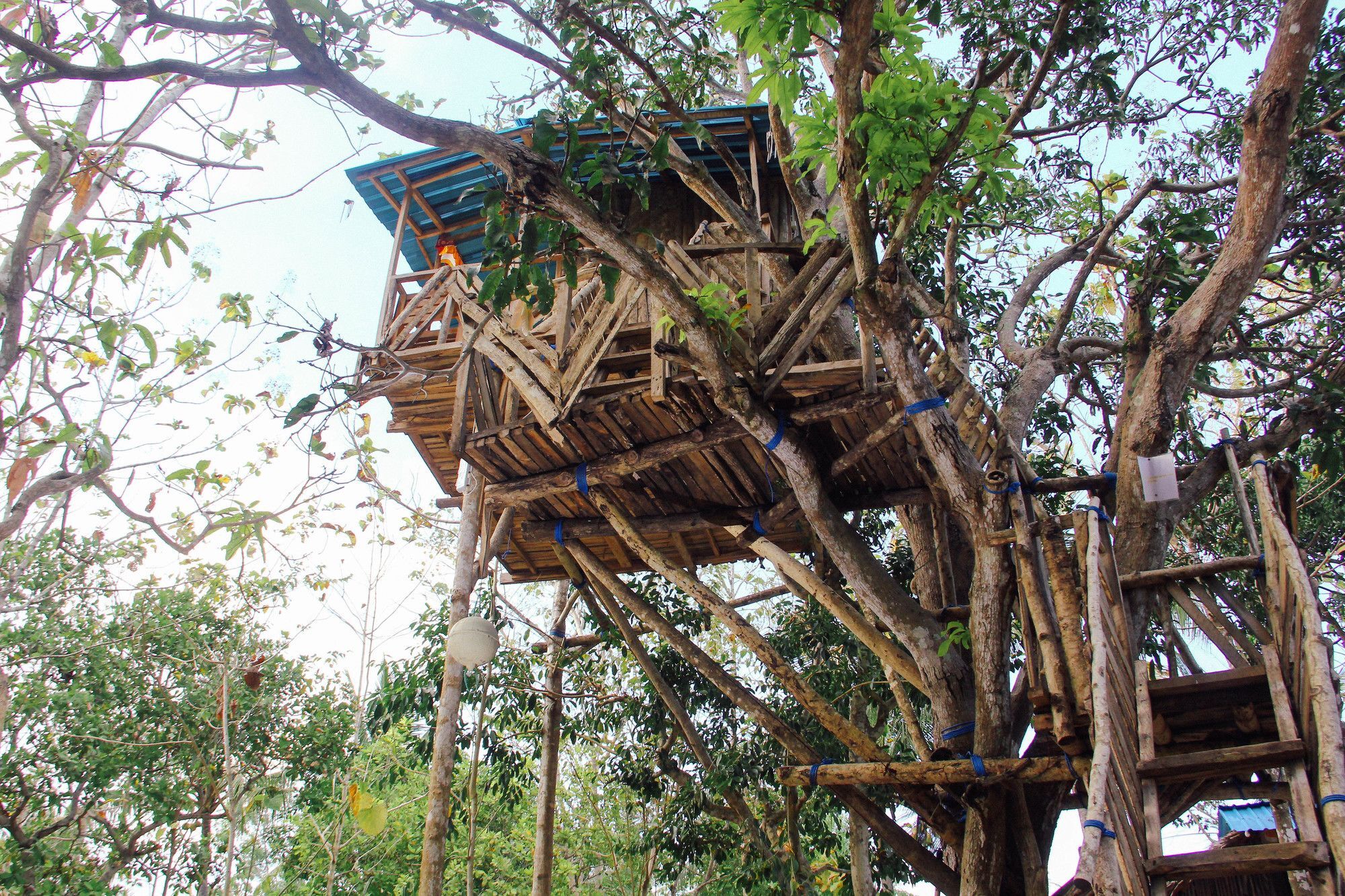 Nyuh Bengkok Tree House Hotell Batununggul Exteriör bild